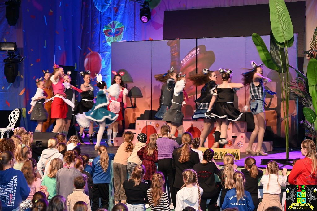 ../Images/Dansmariekefestival 2025 312.jpg